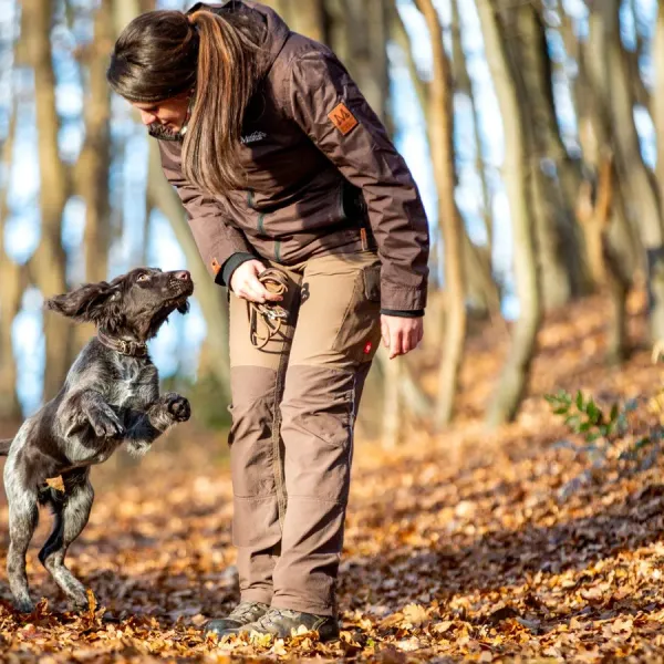 Veranstaltungen der V&E Hundeschule Nordharz
