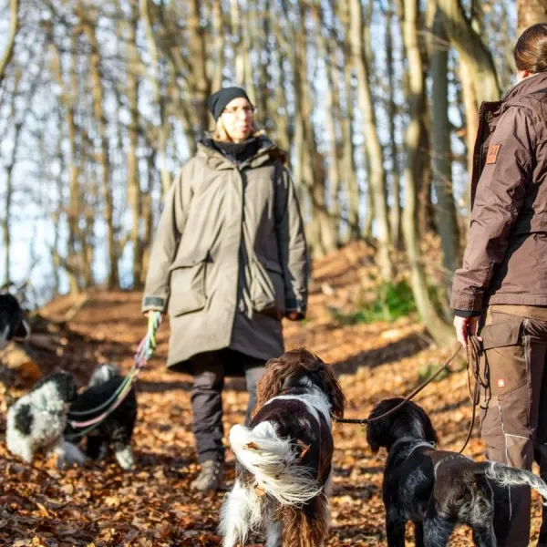 Hundetraining im Nordharz – Angebote der V&E Hundeschule